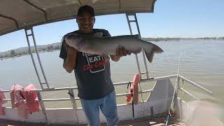 Santa Ana River lakes..pescando Bagres con camaron(mackerel)fue la carnada efectiva 💯