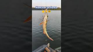 Женская рыбалка. Окунь на удочку  #рыбалка #влог #озеро #fishing #fish #окунь