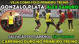 😱PRIMEIRO TREINO DE ALEX SANDRO E GONZALO PLATA NO FLAMENGO, VÃO AJUDAR MUITO!