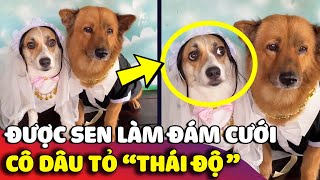 Được con Sen tổ chức ĐÁM CƯỚI nhưng thái độ của CÔ DÂU CHÓ khiến ai nấy ngỡ ngàng 😅 | Gâu Đần