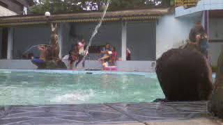 Moment indah berenang bersama sang istri..