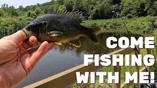 Catching Fish with Baby Frogs!