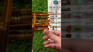 Paint Brushes Set | #darazshoppinghaul #paintbrushes #fabricpainting #painter #paint #unboxing #like