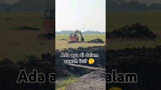 ada harta karun di dalam sawah 😱 #eskavator #hartakarun #shorts