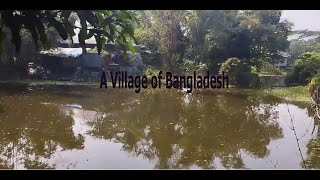 A Village of Bangladesh.