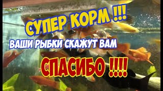 СУПЕР ПОЛЕЗНЫЙ ВИТАМИННЫЙ КОРМ ДЛЯ АКВАРИУМНЫХ РЫБОК ГОТОВИМ САМИ!