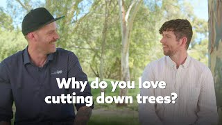 Why do you love cutting down trees?