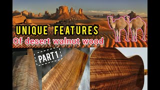 a RARE WOOD for Guitar Making: Desert Walnut, Part 1