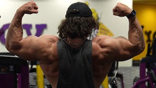 The Bulk Day 27 - Arms