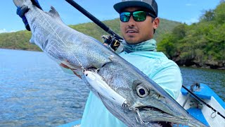 Morning Tide for Barracuda, Tarpon and Jacks in Trinidad