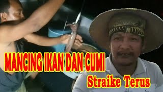 Mancing Ikan dan Cumi Strike Terus