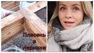 НАТВОРИЛА ДЕЛОВ! ВЕСЬ ПАРНИК В ПЛЕСЕНИ!