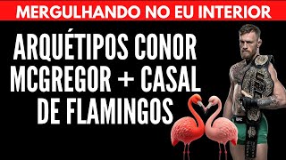 ARQUÉTIPOS CONOR MCGREGOR + CASAL DE FLAMINGOS: MINHA NOVA COMBINAÇÃO | Will Nascimentto