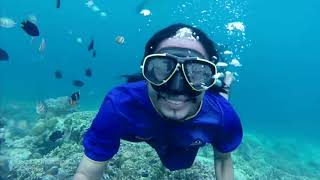 Underwater Pulau Karampuang Mamuju - #catatanSKS