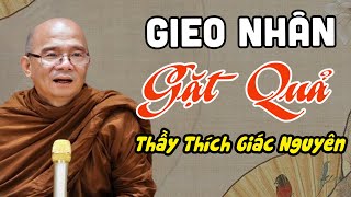 Nhân Quả Không Sai 1 Li...Gieo Nhân Gặt Quả |  Sư Giác Nguyên - Sư Toại Khanh Thuyết Giảng