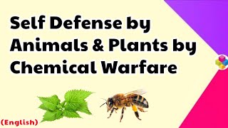 Self Defense by Animals & Plants by Chemical Warfare | Acid Bases & Salts | Class 10 & 11 | Science