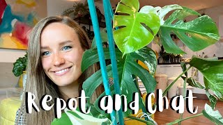 Repot and Chat | Repotting Two Variegated Monstera Plants Together