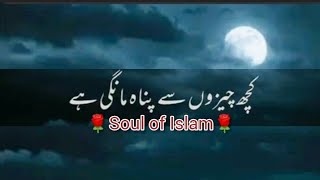 Nabi Pak ﷺ Ny 🤲🥀Panah Mangi hy|Ajmal Raza Qadri|Soul of Islam #islamicstatus #emotional #trending