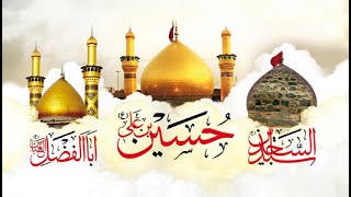 Ay Hussain Ibn e Ali | Allama Farooq Ul Hassan | lyrics kalaam | Karbala 1443