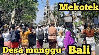 Antusias nonton...!! tradisi mekotek NGEREBEG  DESA ADAT MUNGGU BALI