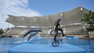 Dandois and Gomez Bike BMX in South Africa