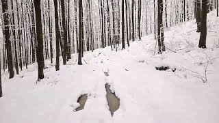 when it snow it so amazing #winter #forest #offroad #atv #mountain #romania #polarissportsman1000