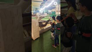 దుబాయిలో zoo park వెళ్ళాము #dubaivlogs #shortsfeed #dubailife #viral #trending #ytshrtsdubai #zoo