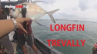 FishingWithNas Episode  21- HYPED Ajing (Ultralight Fishing) Southern Islands SIngapore