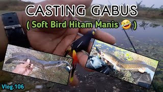 CASTING GABUS ( Soft Bird Hitam Manis 🤣 ) Vlog.106