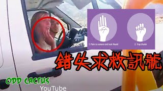 百萬網紅Gabby Petito失蹤遇害前的求救訊號? 枕邊人隨後也跟著消失遇害!?