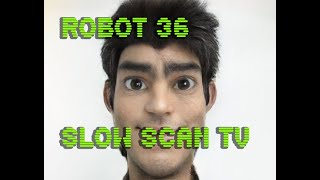 0073 Toonify SSTV Robot36