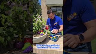 15 Pzas Frutas en Canasta: Cocina Educativa, aprende jugando Verde  Mega Shop TV