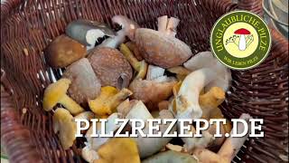 Pilzrezepte zum nachmachen! Der Pilzmann kocht ...- Oh je auch das noch! unter  www.pilzrezept.de