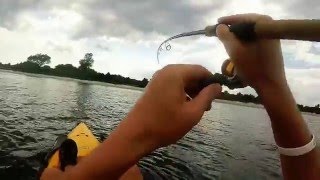 2014 Saltwater Kayak Fishing Black Drum, Flounder and Blackfish