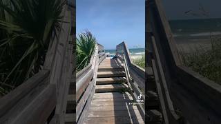 Come To Myrtle Beach With Me | Alesha Pendry