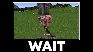 Minecraft Wait What meme #6