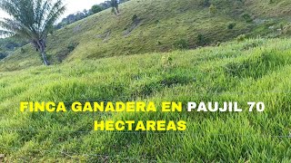 MAGNIFICA FINCA GANADERA EN PAUJIL