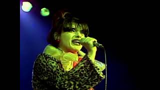 Desweef-Nina Hagen-Der Spinner