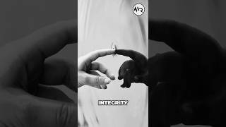 Embrace Yi | Building a Just Society through Integrity