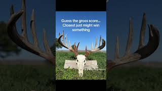 Guess the Score on this Deer… Closest score just might win something #hunting #usa #shorts #viral