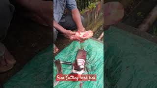 Fish Cutting Kosh Fish #fish #koshfish #cuttingfish #indianrecipe