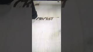 cricket laser engraving