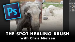 PS - Chapter 9 - How to work with the SPOT HEALING BRUSH