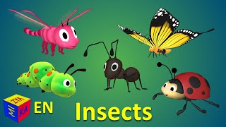 Learn insects for kids kindergarten – educational cartoon for babies and toddlers