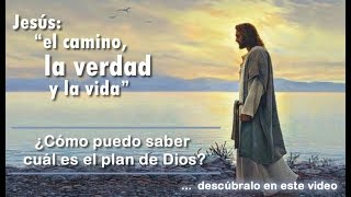 ¿Cómo puedo saber  cuál es el plan de Dios?