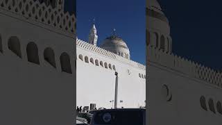 Gathered pigeon on top of the tomb, this is such a place where kebla was changed from alaqsa.