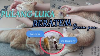 LUKA CAKAR [ Vlog kuceng Oren ]