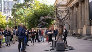 Visit the Money Tree | Greening Australia