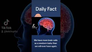 A newborn baby has more braincells? #brain #baby #facts