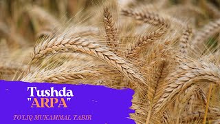 TUSHDA ARPA TABIRI | TUSHDA ARPA KO'RISH NIMANI ANGLATADI ?